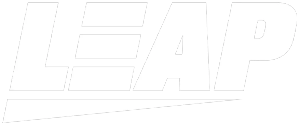 Leap Gaming provider